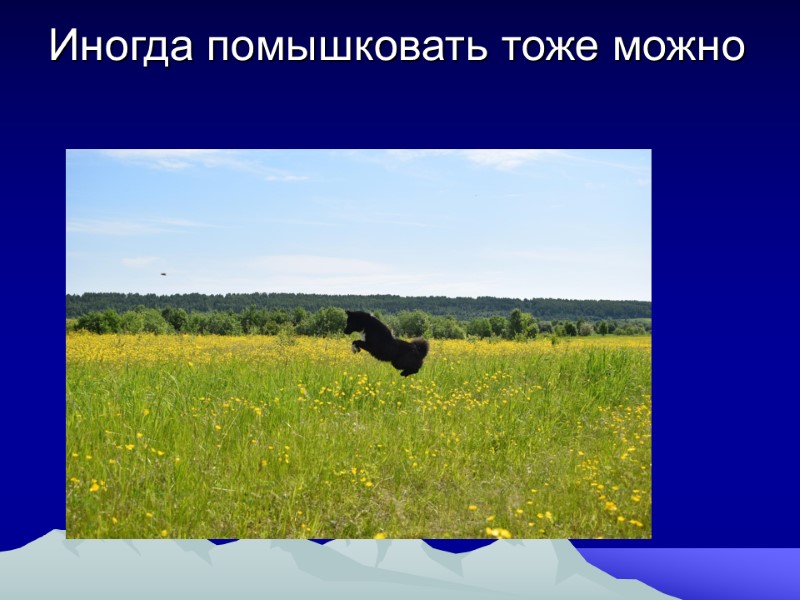 Иногда помышковать тоже можно